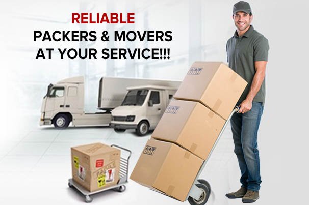 Mercy Packers and Movers